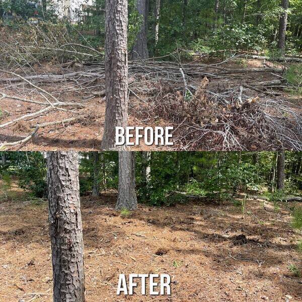 Yard Waste Removal in Marietta, GA (1)