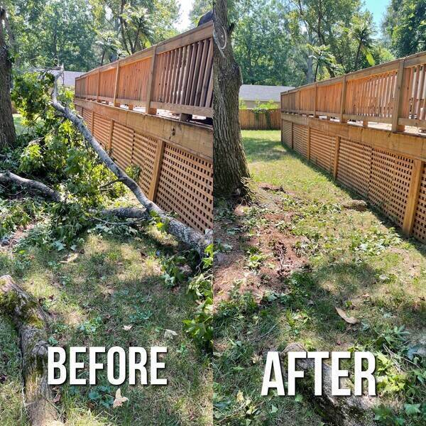 Tree Limb Removal in Smyrna, GA (1)